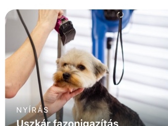 Uszkár fazonigazítás
