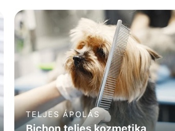 Bichon teljes kozmetika